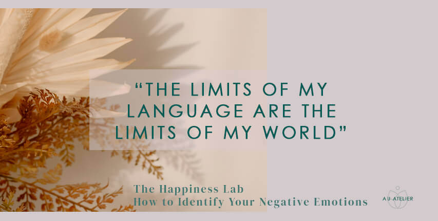 the limits of my language are the limits of my world