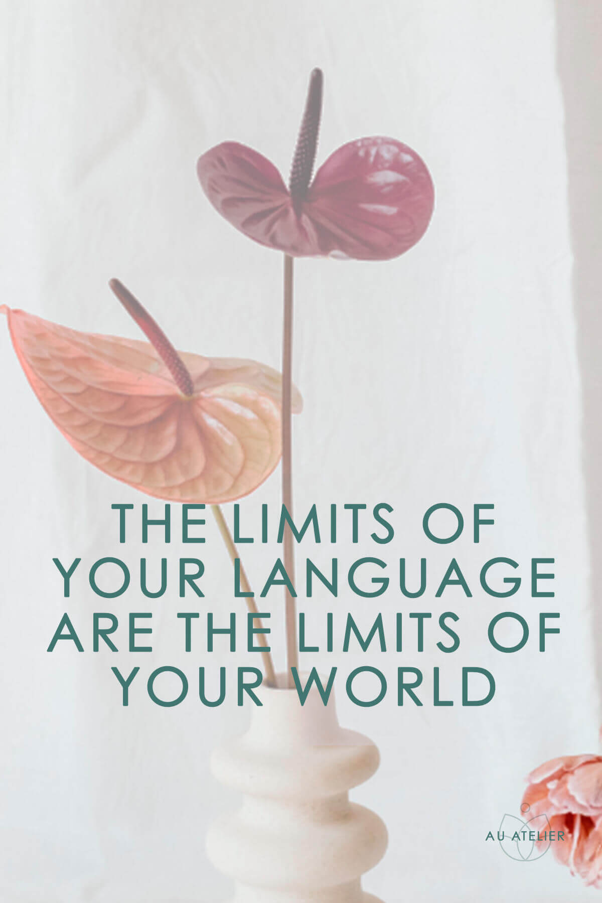 the limits of your language are the limits of your world