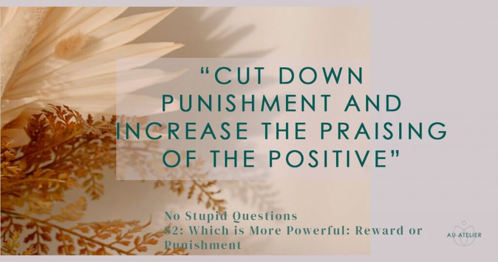 cut down punishment and increase the praising of the positive